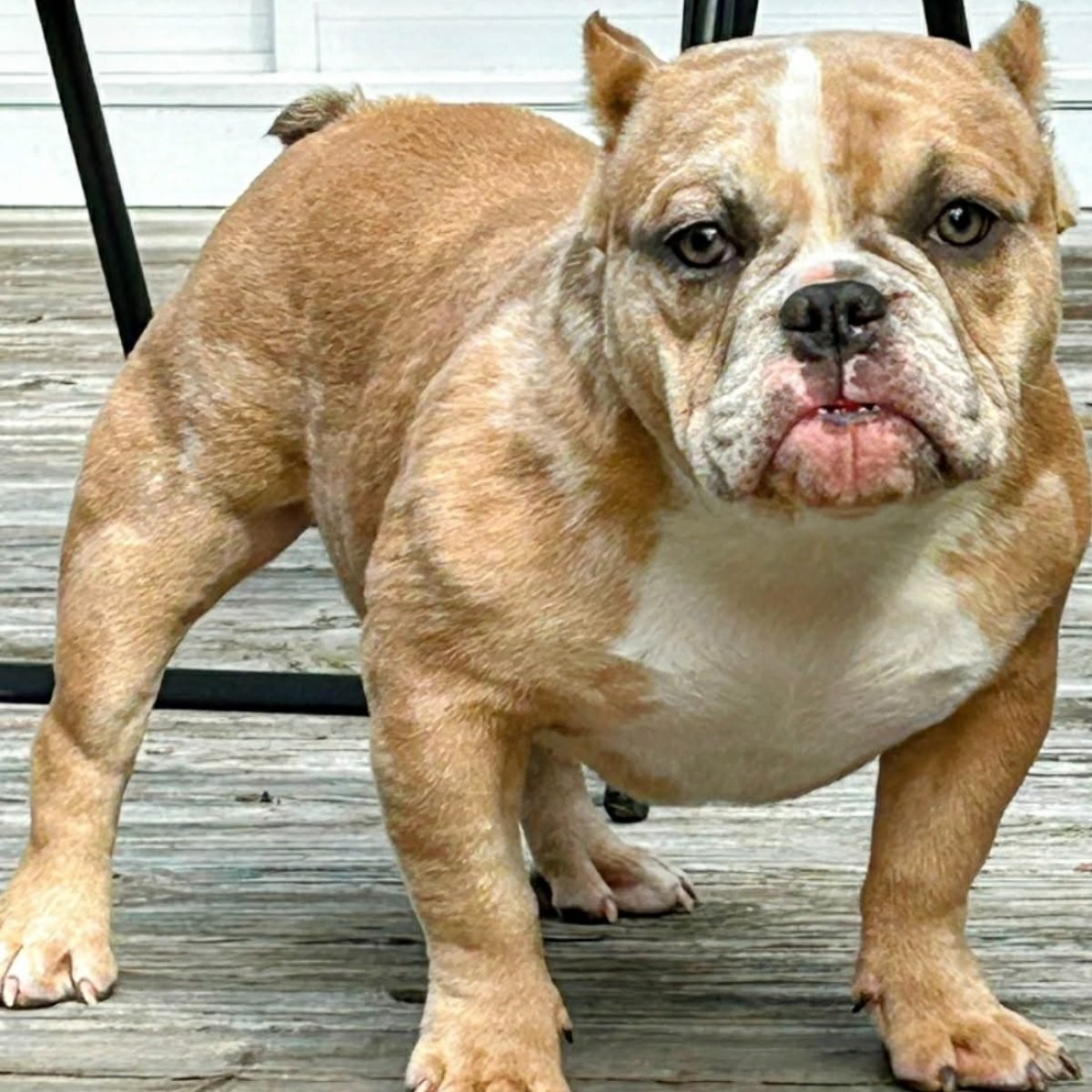 f8e585fc-6635-414a-88f5-8807a72e2ac9